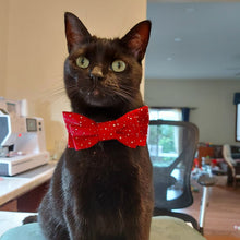 Load image into Gallery viewer, Wholesale Pet Bow Ties - Small and Large
