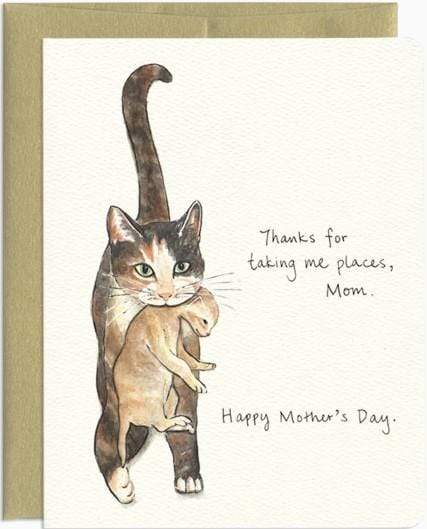 Cat Mom Card - This card features a mom cat holding her kitten with a 