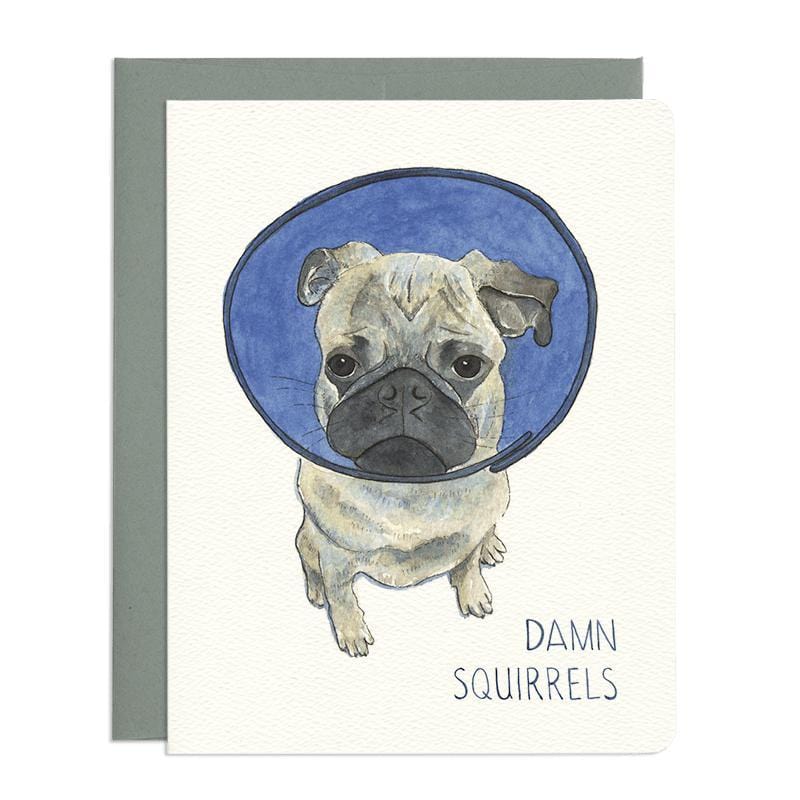 Damn Squirrels Dog Card. Of course it's all the squirrels' fault! This card, featuring a disgruntled puppy in a cone, is sure to cheer up the one in your life who needs a little laughter to get through a tough period. Wiggles & Whiskers. Pet Accessories Canada.