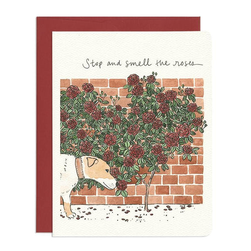 Stop and Smell the Roses dog card. This dog card displays a brick wall of roses with a dog beside it with the message 