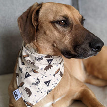 Load image into Gallery viewer, Custom Order - Snap-On Bandanas. Over the Collar style Bandana is perfect for dogs and cats on the move because once it’s on it won’t be going anywhere! Slip their collar through the top of the bandana and they can wear it in front, to the side, or at the back. Our bandanas are fully reversible for two different looks – perfect for your style conscious or messy pet. They are also double stitched to last through many washings. Canadian Pet Accessories Company Wiggles &amp; Whiskers.
