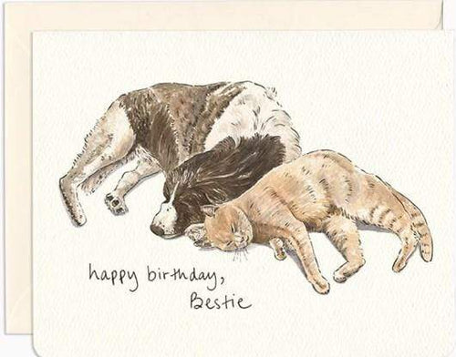 Happy Birthday Bestie Cat and Dog Card. This card features a cat and dog laying side by side with a message that states 